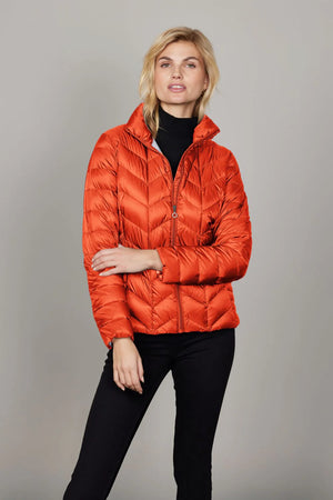 Daisy - Bright orange